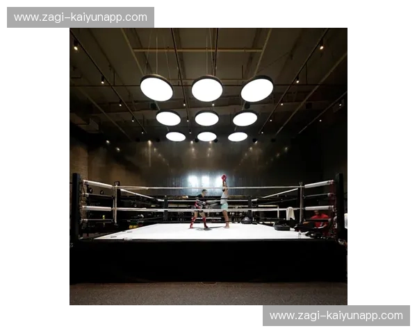 拳击与MMA：不止是擂台上的对决，更是两种哲学与身体的碰撞