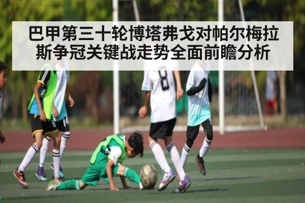 巴甲第三十轮博塔弗戈对帕尔梅拉斯争冠关键战走势全面前瞻分析